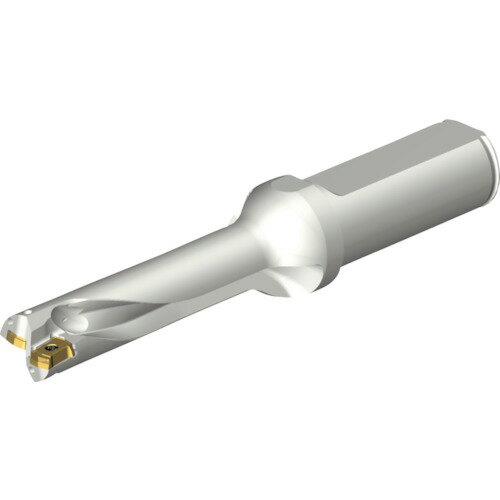 【ポイント10倍】サンドビック(株)コロマントカンパニー SANDVIK コロドリルDS20刃先交換式ドリル(465) DS20-D1500L20-04 【DIY 工具 TRUSCO トラスコ 】【おしゃれ おすすめ】[CB99]