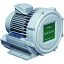 【ポイント10倍】SDG(株) 昭和 電動送風機 渦流式高圧シリーズ ガストブロアシリーズ(0.3kW) U2V-30S 【DIY 工具 TRUSCO トラスコ...