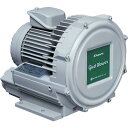 【ポイント10倍】SDG(株) 昭和 電動送風機 渦流式高圧シリーズ ガストブロアシリーズ(2.2kW) U2V-220 【DIY 工具 TRUSCO トラスコ...