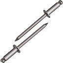 【ポイント10倍】(株)ロブテックス エビ ブラインドリベット(ステンレス/ステンレス製) 5-8(1000本入) 箱入 NST58 【DIY 工具 TRUSC...