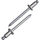 【ポイント10倍】(株)ロブテックス エビ ブラインドリベット(ステンレス/スティール製) 6-4(1000本入) 箱入 NSS64 【DIY 工具 TRUSC...