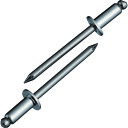 【ポイント10倍】(株)ロブテックス エビ ブラインドリベット(ステンレス/ステンレス製) 6-5(1000本入) 箱入 NST65 【DIY 工具 TRUSC...