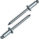 【ポイント10倍】(株)ロブテックス エビ ブラインドリベット(ステンレス/ステンレス製) 6-6(1000本入) 箱入 NST66 【DIY 工具 TRUSC...