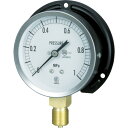 【ポイント10倍】長野 JIS汎用形圧力計(B枠) 圧力レンジ(MPa):0.0〜0.60 GS51-231-0.6MP 【DIY 工具 TRUSCO トラスコ...