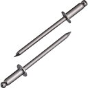 【ポイント10倍】(株)ロブテックス エビ ブラインドリベット(ステンレス/ステンレス製) 4-4(300本入) エコBOX NST44EB 【DIY 工具 T...