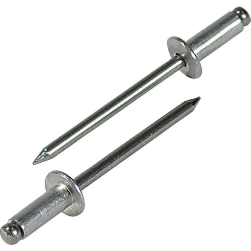 【ポイント10倍】(株)ロブテックス エビ ブラインドリベット(アルミニウム/ステンレス製) 6-6 ...