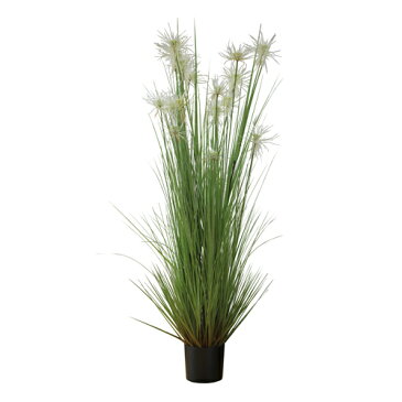 サニーグラス（人工植物） 約183cm （大）【観葉植物 インテリア 人工植物 光触媒 グリーン 室内 種類 販売 通販 ガーデニング Artificial green】【おしゃれ おすすめ】 [CB99]