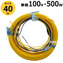 日本ノーデン 農電ケーブル 単相100V 500W 40m 1-450【温床器械 温床機器 単相 保温 サーモ 土中 菜園 ハウス 冬 植物 日本農電 ノーデン】【おしゃれ おすすめ】 [CB99]