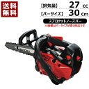 ★ポイント最大8倍＆最大1000円OFFクーポン★5/1限定★チェーンソー エンジン ゼノア GZ2800T-25P12 967723368 27cc 【Zenoah 本体 正規品 新品 チェーンソー エンジン チェンソー ソー エンジン式 チェーン チェン 伐木 造園 薪 伐採 薪割 林業 間伐】【おしゃれ おすすめ