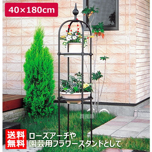 ★エントリーで全品ポイント10倍★2月は毎日P10★第一ビニール オベリスクBK [180cm、ブラック] 【菜園 園芸 支柱 竹 ガーデニング 家庭菜園 用品】【おしゃれ おすすめ】 [CB99]ローズアーチや園芸用フラワースタンドとしてガーデンに[菜園 園芸 支柱 竹 ガーデニング 家