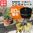 第一ビニール 猫よけ ここダメシート（20m巻き）【猫対策 グッズ 猫よけ シート マット セット イタズラ防止 ネコよけ ねこよけ 野良猫対策 猫避け 猫除け】【おしゃれ おすすめ】 CB99