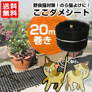 第一ビニール 猫よけ ここダメシート（20m巻き）【猫対策 グッズ 猫よけ シート マット セット イタズラ防止 ネコよけ ねこよけ 野良猫対策 猫避け 猫除け】【おしゃれ おすすめ】 [CB99]