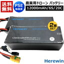 Herewin 農業用 ドローン用 バッテリー 12000mAh/6S/20C (2個セット) 【農業用ドローン 農薬散布ドローン 大型ドローン ヒラキ ドローン FarmX DJI 農業用ドローン 導入 運用 整備 農作業 省力化 オプション品 消耗品 交換 取り替え メンテナンス 部品】