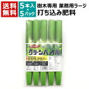 ★ポイント最大5倍&最大1000円OFFクーポン★5月1日限定★グリーンパイル 樹木専用 打込肥料 ラージ (5本入×5袋) 3cm×30cm 300g 【地面...