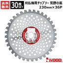 【30枚セット】 刈払機用チップソー 230mm 36P 草刈機用 刈刃 替刃 荒野の嵐 アイウッド 【石に強い 超高硬度 雑草 竹 笹 荒地 荒野 河原 草刈...