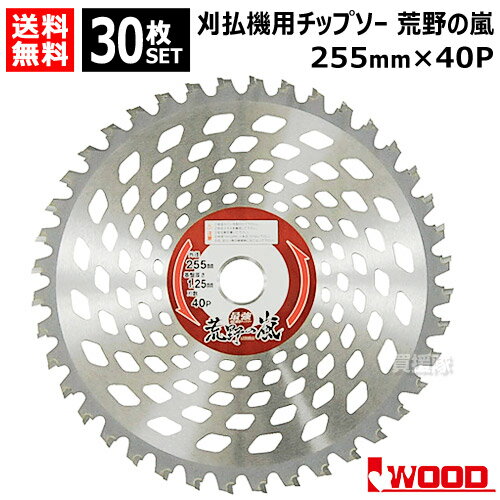 【30枚セット】 刈払機用チップソー 255mm 40P 草刈機用 刈刃 替刃 荒野の嵐 アイウッド 【石に強い 超高硬度 雑草 竹 笹 荒地 荒野 河原 草刈機 刃 刈払機 チップソー 刈 草刈 替刃 刈払 替え刃 草刈り 刈払い 草刈り機 部品 刈払い機 IWOOD おしゃれ おすすめ】