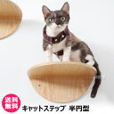 納期について：【取寄】通常3〜5日の発送予定(土日祝除く) 【キャットステップ 猫家具 キャットツリー キャットタワー 全猫種 猫 ねこ ネコ キャット 全年齢対応 木製 アスレチック 遊具 室内飼い 運動不足 ストレス解消 踏み台 壁 設置 装飾 インテリア 壁掛け】 【省スペース】 壁付けタイプのキャットタワーなのでスペースを取らず、室内飼いの猫の運動不足やストレスの解消に役立ちます。 【圧迫を感じないコンパクトサイズ】 コンパクトサイズではありますが、猫ちゃんが上り下りしやすいように設計されております。適度な幅が保たれているため、飼い主への圧迫感をあまり感じさせません。 丈夫な素材で作られているため、しっかりと猫ちゃんの体重を支えることができます。 【インテリアになるデザイン】 無駄のないシンプルなデザインのため、インテリアとしてお部屋に馴染みます。 【レイアウトが自由】 ステップ間の水平距離や高低差を愛猫の個性や身体能力に合わせて自由に設置することが可能です。 【お手入れについて】 日常のお手入れは、柔らかく乾いた布で軽く拭き、直接の水洗いはしないでください。ひどい汚れがある場合はよく絞ったぞうきん等で拭くか、薄めた中性洗剤で拭き取り、水や洗剤を残さないように必ず乾拭きをしてください。 仕様 メーカー　　MYZOO 品名　　キャットステップ 半円型 （2枚入） ROUND LACK JANコード　　0640841970829 本体サイズ(全長×全高×全幅)　　約200×120×300mm 重量　　約0.65kg 商品内容　　ROUND LACKキャットステップ×2枚 素材　　天然木ツキ板化粧合板 耐荷重　　約15kg (側面部分を上下どちらかに設置するかで耐荷重が異なります) 用途　　キャットステップ、猫家具、キャットツリー、キャットタワー 対象　　全猫種・全年齢対応 ※壁の材質はコンクリートが推奨です。 中空壁の場合は木下地(間柱)のあるところに直接ネジ固定することで壁付けが可能です。木下地(間柱)のないところに壁自体の強度をよくご確認の上、専用アンカーを打ち込んで固定する必要があります。ご自身での判断に不安がある場合、専門業者に確認にお問い合わせください。 ※商品色はご使用のモニターによって実際の明るさや色と多少異なって見える場合がございます。 ※仕様は予告なく変更する場合がございますのでご了承ください。 ※天然木を使用した商品につき木目や色味、節など個体差があります。これら天然木の特性を理由とした返品・交換はお受けできませんので予めご了承ください。 ※木製品は、温度、湿度などの条件による伸縮を繰り返すことにより、多少収縮・反り・歪みなどの変形が生じる場合がありますのでご了承ください。