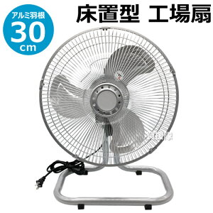 価 ַ 30cm NHA-316 ھ֤ ַ ̳ 緿  ̳    졼 ۴ ۴ ե ۡڤ [CB99]