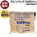 田中産業 グレンバッグかばちゃん 800L [PP] TNK-KABA-800 【コンテナ 籾 麦 ライスセンター コンバイン グレンタンク 袋 米籾 もみ 麦 大豆 豆 出荷 収穫 運搬 移動 大量 輸送 袋 乾燥機 投入口 全開 排出 調整 ハイランドロック 通気性】【おしゃれ おすすめ】 [CB99]