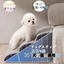 \P2倍★5/9まで/【全国送料無料】ドッグステップ スロープ ステップ 2段 3段 4段 繰返し洗える 犬 猫 兼用 ソファー 緩やか 階段 洗える ペットス...