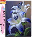 \P2倍★9/14まで/【送料無料】初心者 ダイヤモンドアート クリスタル ビーズ刺繍 絵画 5D 手芸時間 ラウンド スクエア カラービーズ キラキラビーズ アクセント用 モザイク 北欧 装飾 飾り インテリア ギフト ハンドメイド 手芸用品