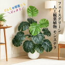 \P2倍★7/31限定/【送料無料】人工観葉植物 観葉植物 モンステラ 高さ100cm 65cm インテリア フェイクグリーン 大型 観葉植物フェイク 花粉・虫...