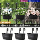 \P2倍★7/19限定/【送料無料】【3個セット】壁掛けプランター 鉄製 吊り下げ式/省スペース×北欧デザイン ガーデンラック 観葉植物・多肉植物に/屋内外OK