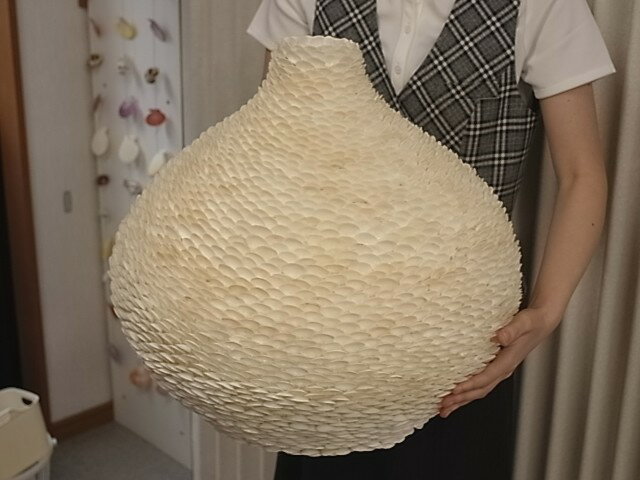 ホワイトカイカイ-飾りツボ-【幅約46cm-高さ41cm/1個】貝殻・貝・シェル