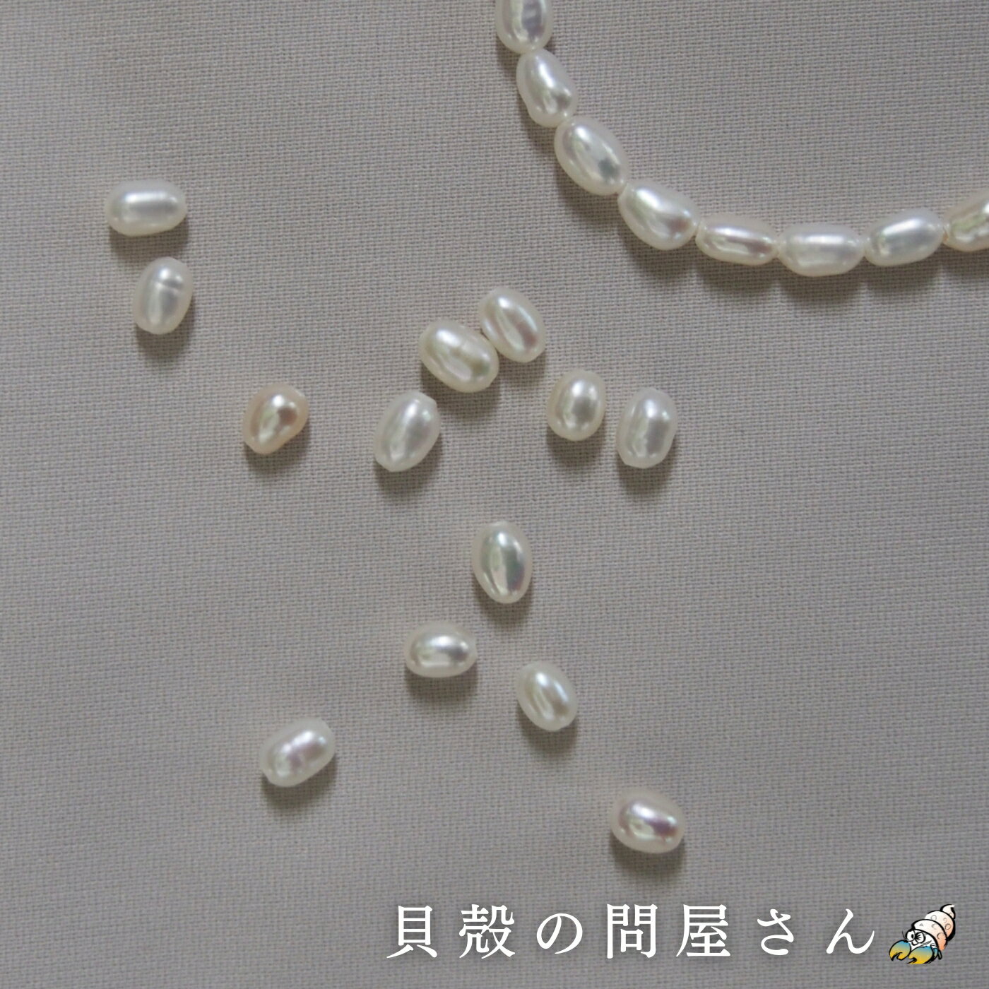 ［淡水パール］ライス小-両穴(通し穴)【約3.0×4.0mm(2粒)】#500【メール便可】 シェルビーズ 貝殻パーツ アクセサリー ネックレス イヤリング ピアス ブレスレット クラフト ハンドメイド 手芸 両穴 球 天然 姫 真珠 宝石 海 可愛い ホワイト 綺麗 上品 小粒