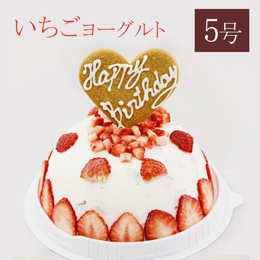 アイスケーキ ＼マラソンP2倍＋先着クーポン／ アイスケーキ 誕生日 5号 いちごヨーグルトアイスケーキ お誕生日 アイスクリームギフト アイスクリームケーキ プレゼント カード付き アイスクリーム 魁ジェラート スイーツ 誕生日プレゼント お祝い