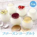 母の日 アイスクリーム 送料無料 ギフト フローズンヨーグルト 6個入り ヨーグルト ジェラート アイス 健康志向 誕生日 ギフト スイーツ