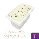 アイスクリーム 業務用 ラムレーズン 4L 業務用アイスクリーム ラムレーズン 家庭用 ギフトでも可 イベント模擬店でも可 容量4リットル デッシャーで40個分...