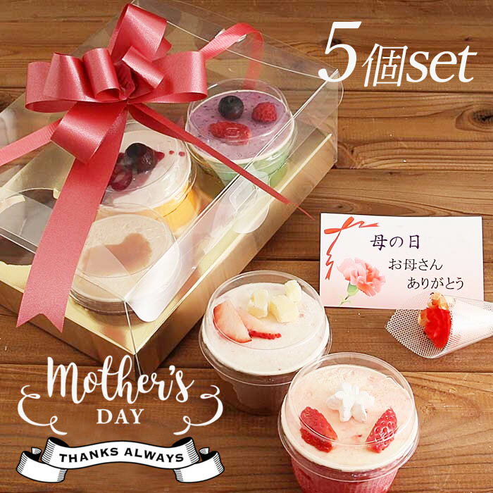 9位：カップアイス 5個入り 母の日ギフト（魁ジェラート）