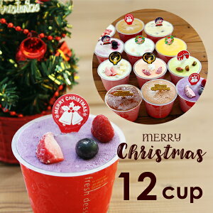 クリスマス アイス ギフト 送料無料 カップ12個入り アイスケーキ クリスマスケーキ 2021アイスセット アイスクリーム スイーツ 詰め合わせ カップアイス クリスマスアイスケーキ