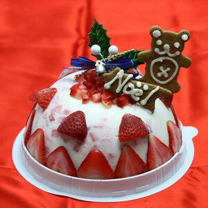 いちごヨーグルトアイスケーキ 5号サイズ クリスマスケーキ 2021クリスマスプレゼント フローズンヨーグルトアイスケーキ クリスマスギフト ケーキ アイスクリーム アイスクリームケーキ