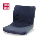 【車いす用クッション】モールドシート 紺 PAS-MSW-002 ピーエーエス 【送料無料】