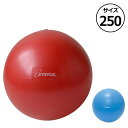 ボール遊びからリハビリ、トレーニングまで ピラティスボール250 H-7352 直径25cm 空気注入用ストロー付き (トーエイライト)(4)