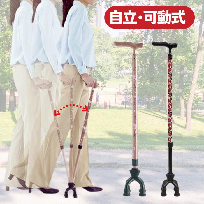 Ω󥢥MIXưƥå⡼륿75MAԥ/BKѼΩ̥׷̻ѣ󤫤襤ˡ̵ۡǡۡڻ