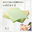 【入浴用品】 水だけで洗える 介護用タオル ハダピカイゴ ミニ(約25×40cm) ブラウン/グリーン 日本製 (ナチハマ) 清拭 入浴介助