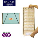 持ち運び用 お薬ケース テイコブ Myカルテ くすり整理 トラベルバッグ 1日3回×1週間 HEC06 カレンダータイプ 1週間用 携帯用 カレンダー 薬ケース 折りたたみ可能 旅行用 飲み忘れ防止 服薬管理(幸和製作所)