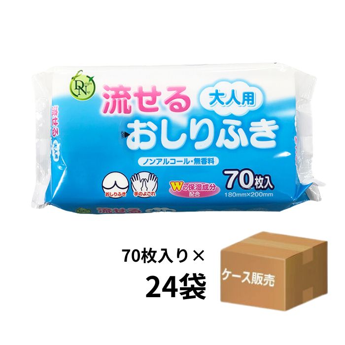 【ケース販売】DN 大人用流せるおしりふき 70枚入り×24袋 18×20cm ノンアルコール 無香料 保湿成分 不織布 フタシール付きパック包装 日本製 （大一紙工）【送料無料】