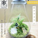 【関西地区限定(和歌山除く)】選べるカラー LED照明付 苔テラリウム 葉タイプ Moss terrarium ホワイト/ブラック 北澤造園【おしゃれ 癒し イ...
