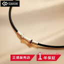 【5/12 09:59までポイント9倍】コラントッテ TAO ネックレス スリム RAFFI mini シャンパンゴールド ABAPT【磁気ネックレス 健康 男...