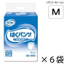 【ケース販売】 リフレ はくパンツ レギュラー Mサイズ 20枚入×6袋 約4回吸収 【送料無料】【ポイント10倍】 大人用紙おむつ 介護用紙おむつ 施設・病院用 リブドゥコーポレーション