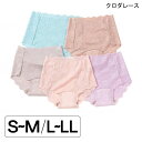クロベレース 総レース吸水ショーツ(S~M/L~LL)(グレー/ピンク/パープル/ブルー/ベージュ)(吸水量20cc)【送料無料】【ポイント10倍】 失禁パンツ 尿漏れパンツ 女性用 婦人用 ショーツ