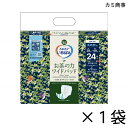 エルモアいちばん お茶の力 ワイドパッド 24枚入×1袋 約4回吸収 【ポイント10倍】 カミ商事 エルモア 介護用紙おむつ 尿とりパッド