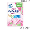 【ポイント10倍】(日本製紙クレシア)【吸収量40cc】ポイズ さらさら素肌吸水ナプキン 安心の少量用(ギャザーあり)(長さ23cm)(22枚入り×12袋)【送料無料】