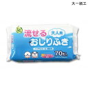 大一紙工 DN 流せる大人用おしりふき(70枚入)(サイズ:18×20cm)無香料 ノンアルコールタイプ 使い捨て トイレに流せるタイプ おしりふき 濡れタオル 介護 清拭 衛生商品【ポイント10倍】