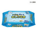 カミ商事 エルモア いちばん トイレに流せるおしりふき(50枚入)(サイズ:20×29.5cm)無香料 ノンアルコールタイプ 使い捨て トイレに流せるタイプ おしりふき 濡れタオル 介護 清拭 衛生商品【ポイント10倍】