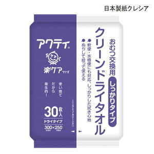 日本製紙クレシア アクティ クリーンドライタオル しっかりタイプ(30枚入)(サイズ:30×25cm)おむつ交換 陰部洗浄 吸水タオル ドライシート 排泄スキンケア 清拭 介護用品【ポイント10倍】